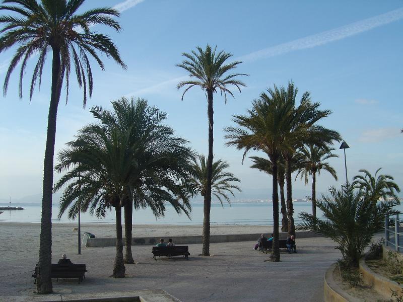 Hotel Hispania Playa de Palma  Exterior foto